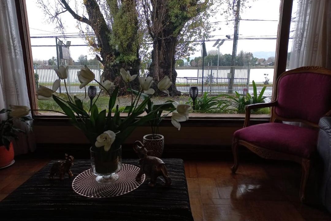Photo of Others in Valdivia