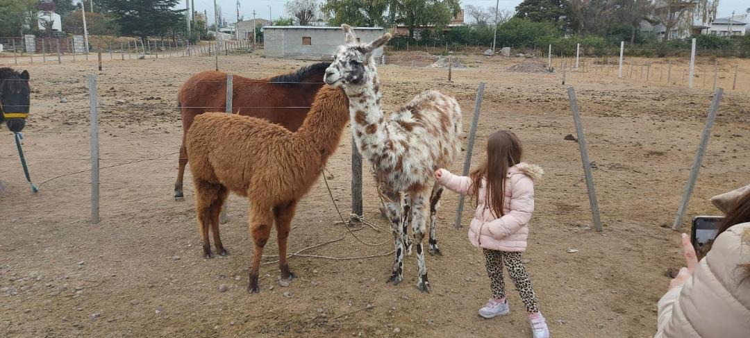 Photo of Others in El Mollar