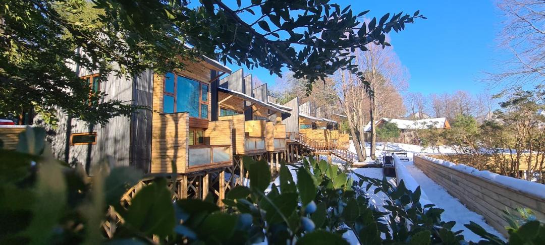 Photo of Others in Pucon
