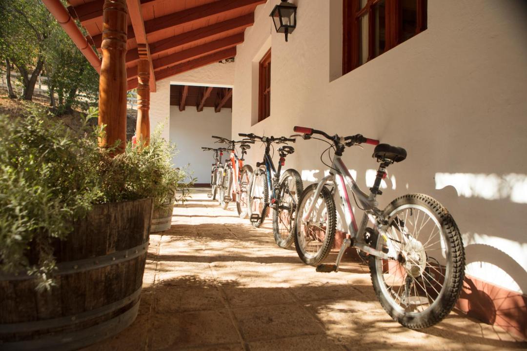 Photo of Others in Palmilla