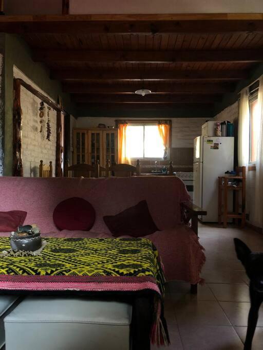 Photo of Others in Villa Pehuenia