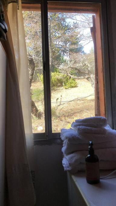 Photo of Others in Villa Pehuenia