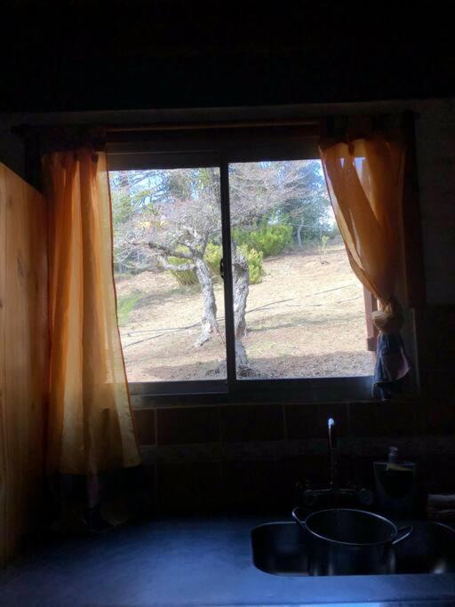 Photo of Others in Villa Pehuenia