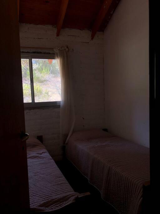 Photo of Others in Villa Pehuenia