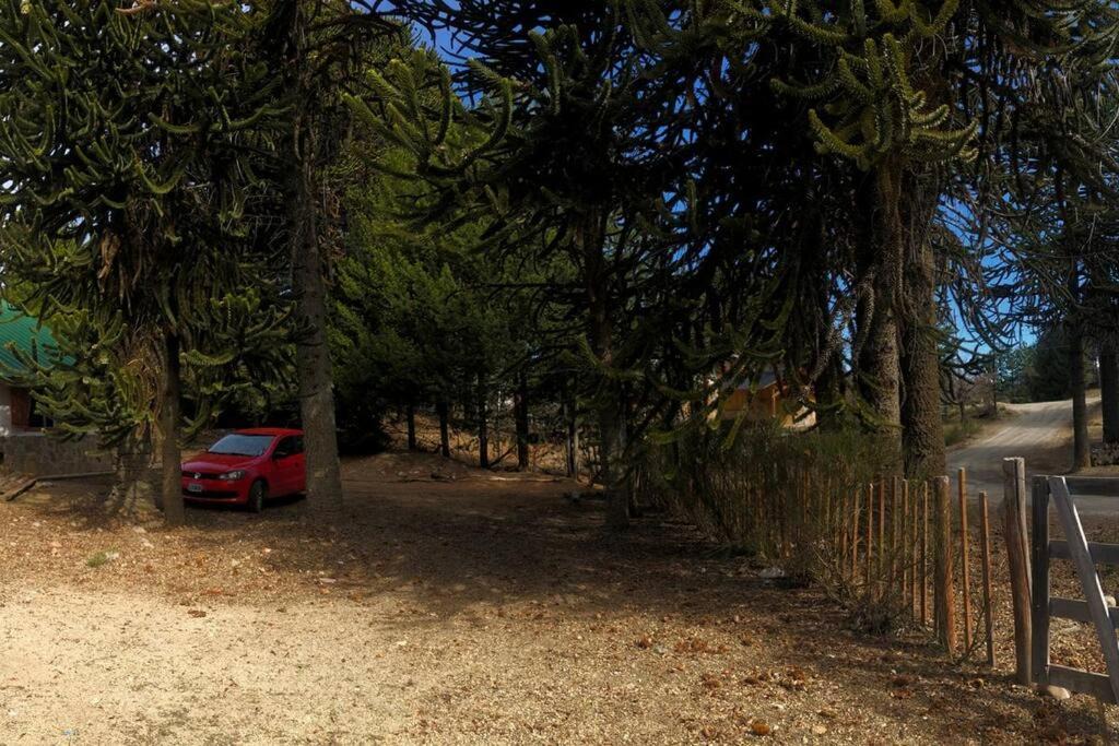 Photo of Others in Villa Pehuenia