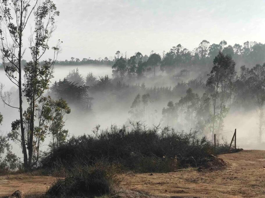 Photo of Others in Tunquen