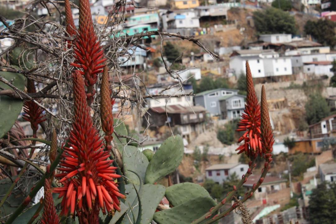 Photo of Others in Valparaiso