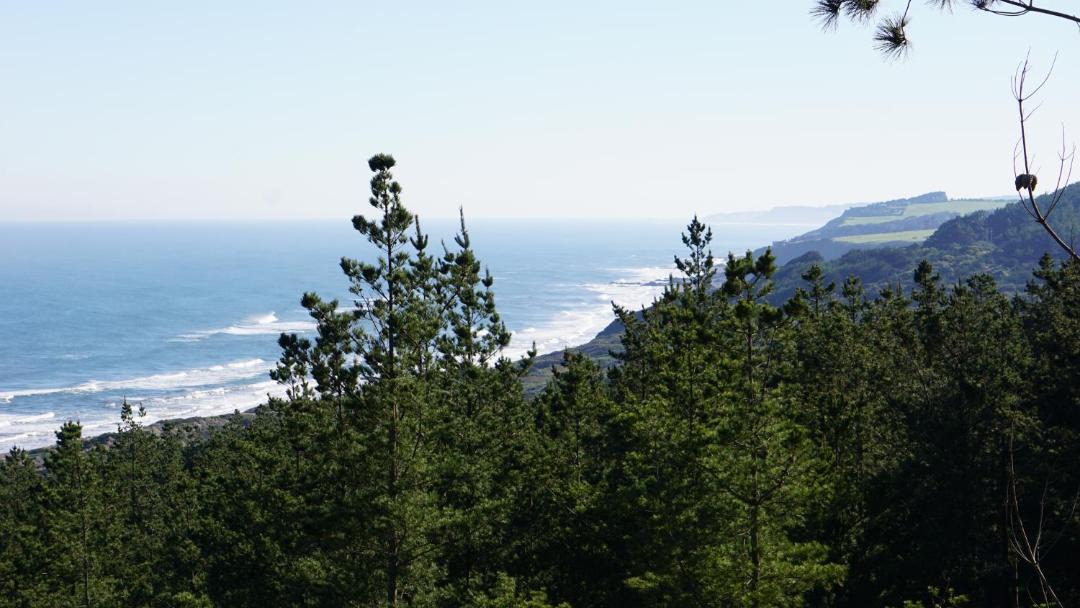 Photo of Outdoor in Vichuquen
