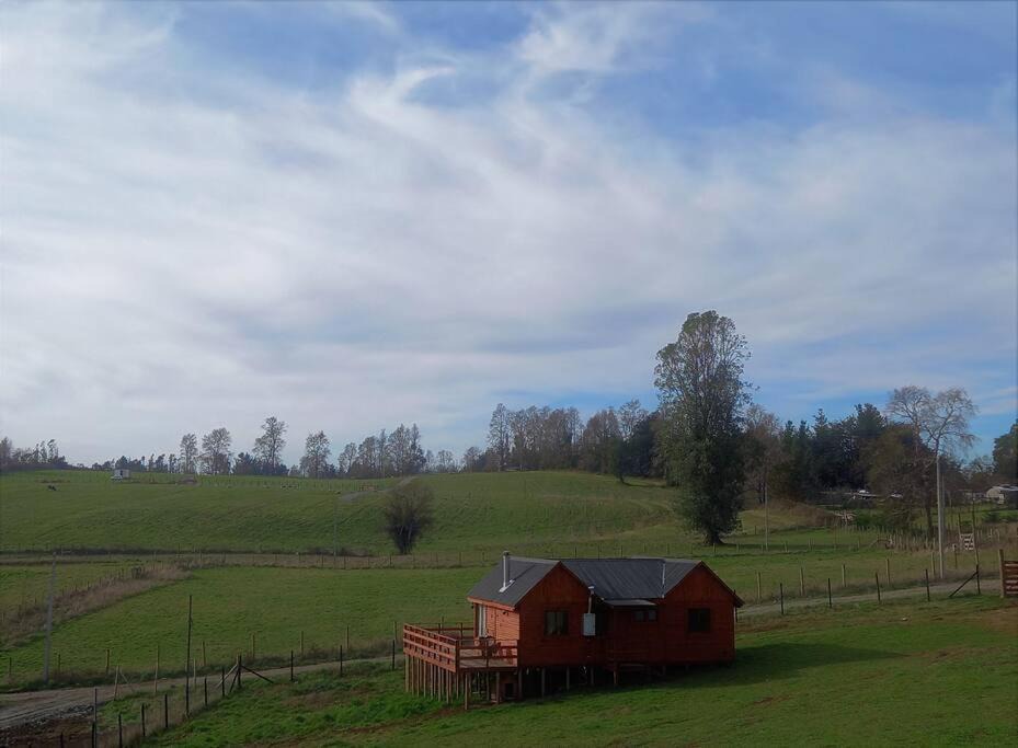 Photo of Others in Araucania Region