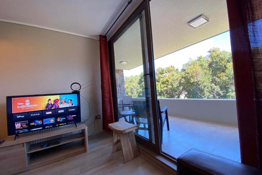 Photo of Livingroom in Pucon