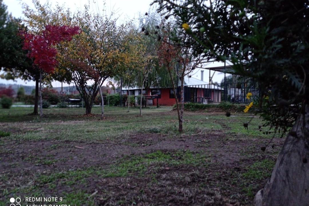 Photo of Others in Yumbel
