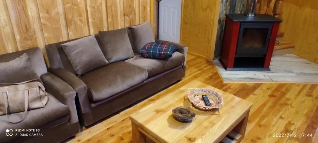 Photo of Livingroom in Malalcahuello