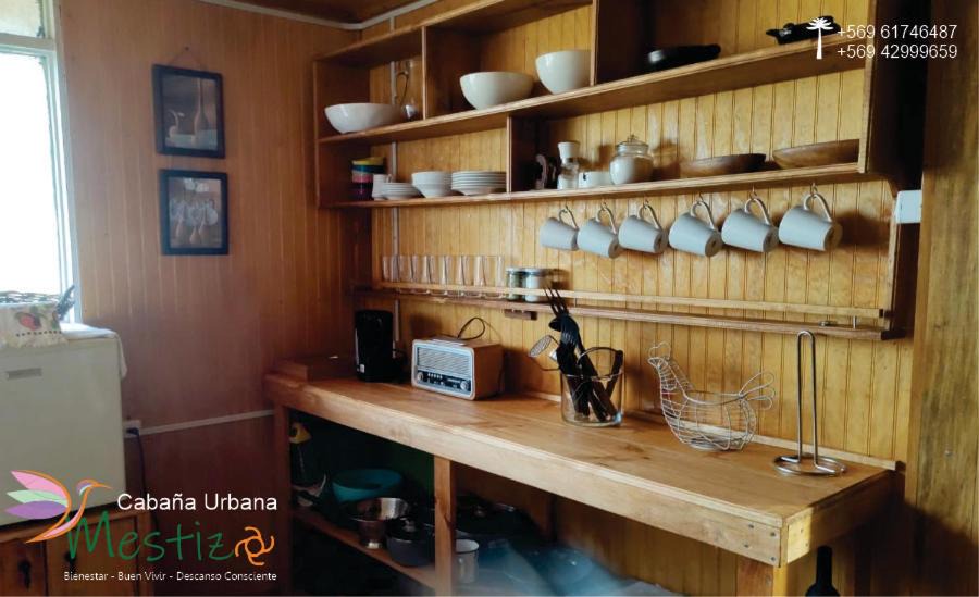 Photo of Kitchen in Curacautin