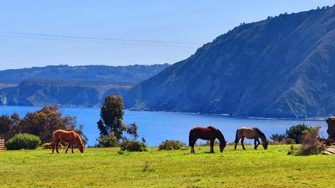 Photo of Others in Tunquen