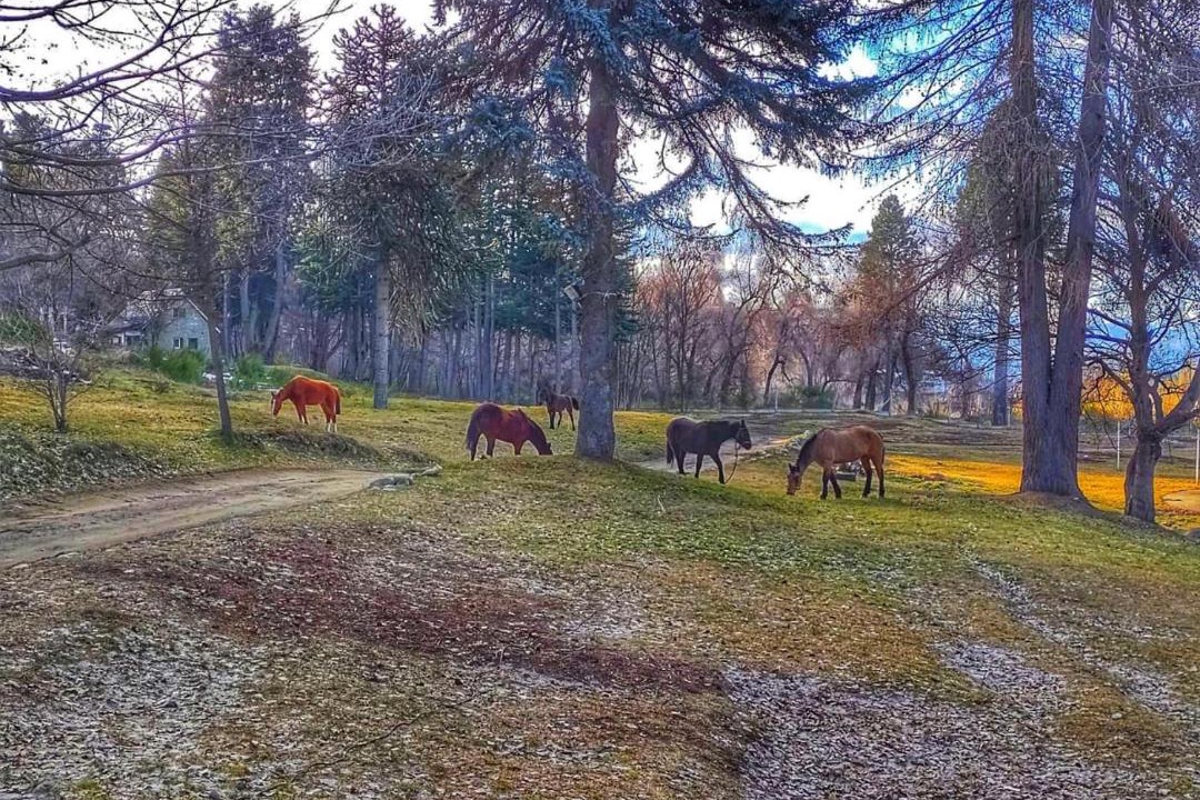 Photo of Others in San Carlos de Bariloche