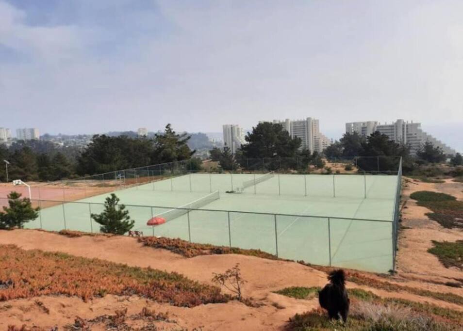Photo of Others in Algarrobo