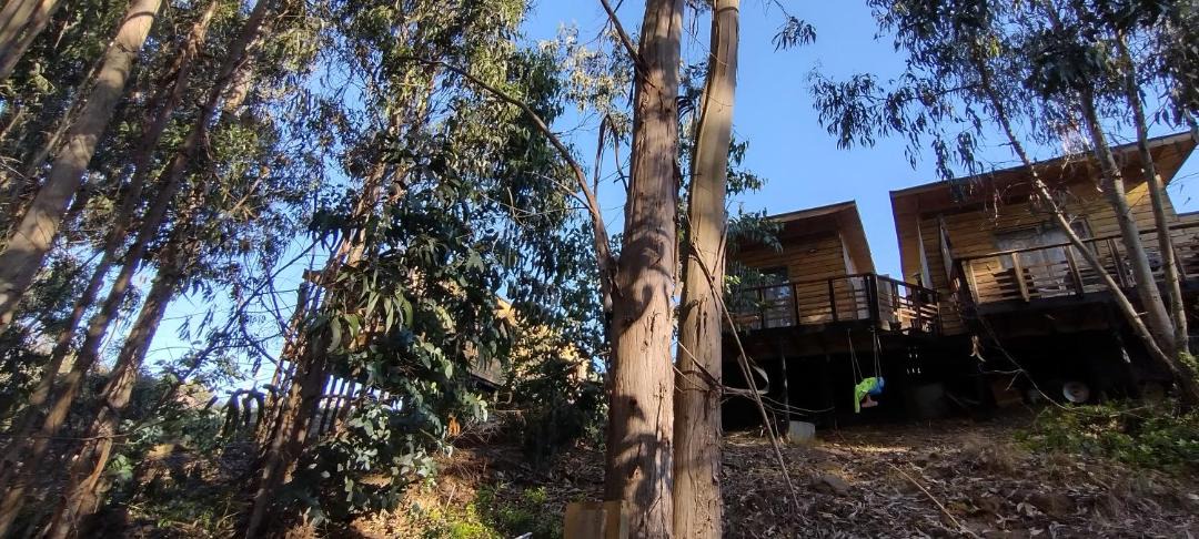 Photo of Buildings in Pichilemu