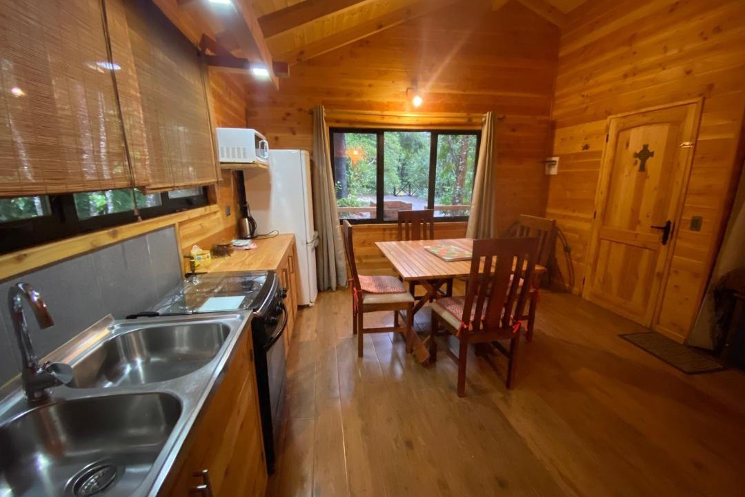Photo of Kitchen in Pucon