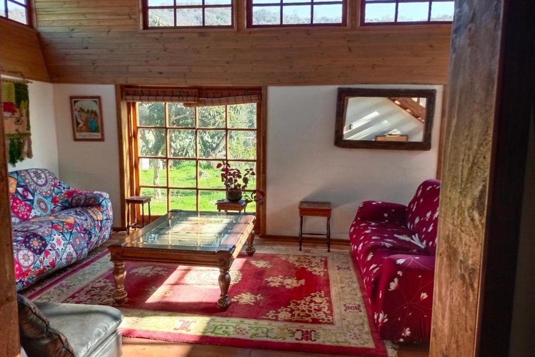 Photo of Livingroom in Olmue