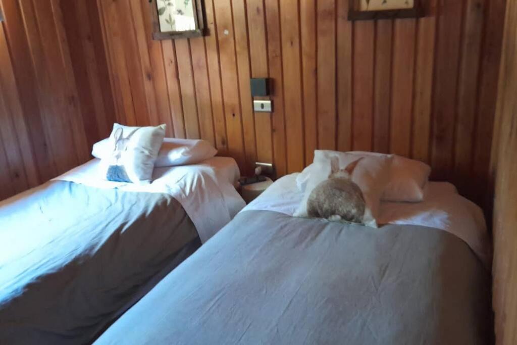 Photo of Others in Casa de Lata