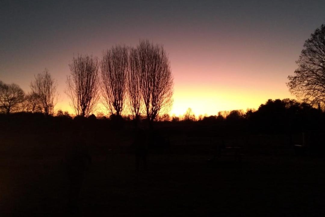 Photo of Others in Osorno