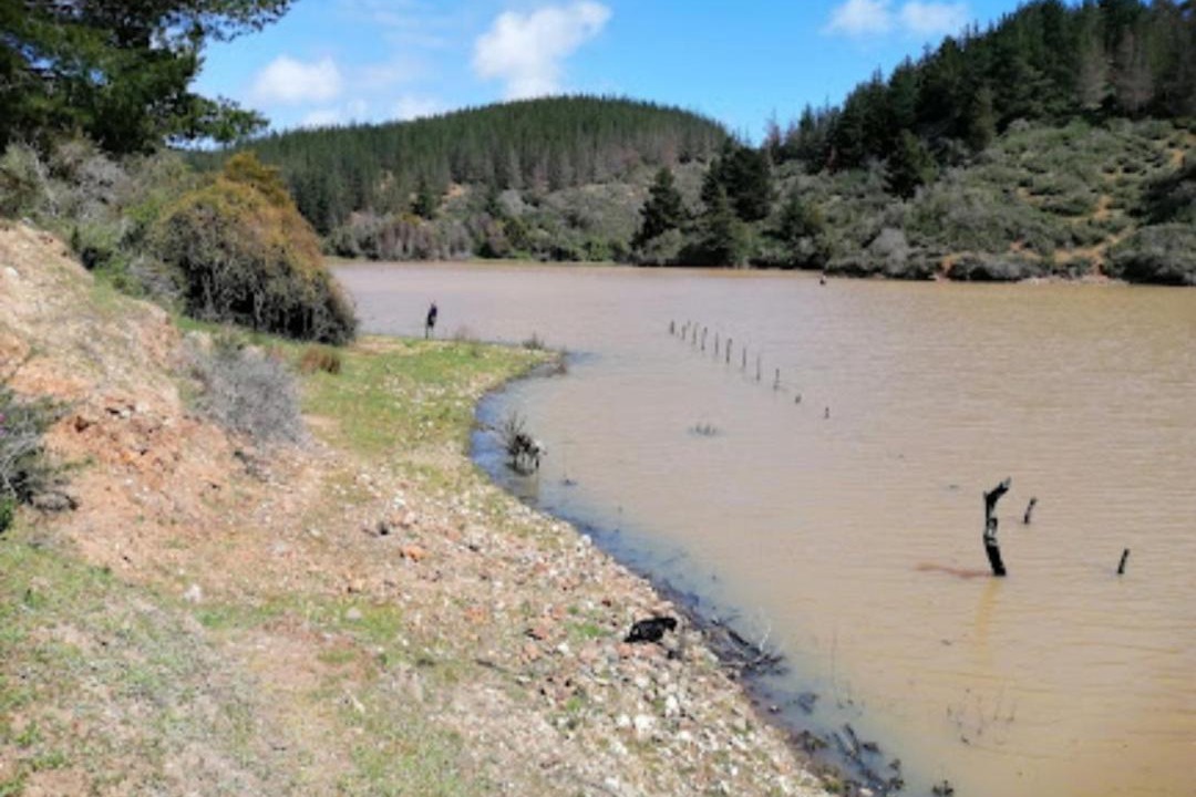 Photo of Others in Pichilemu