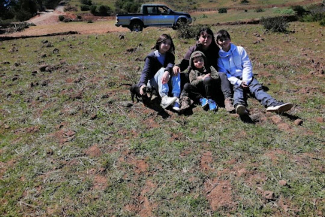 Photo of Others in Pichilemu