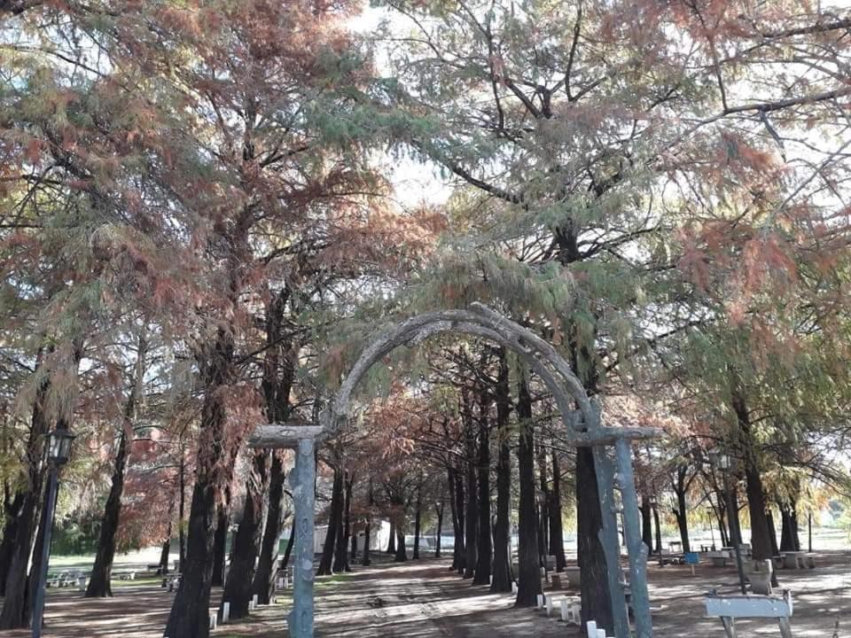 Photo of Others in Colon