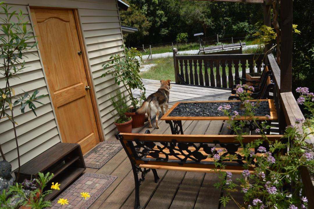 Photo of Patio Balcony in Los Ladrillos