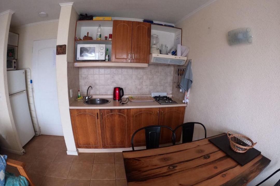 Photo of Others in Caleta Horcon