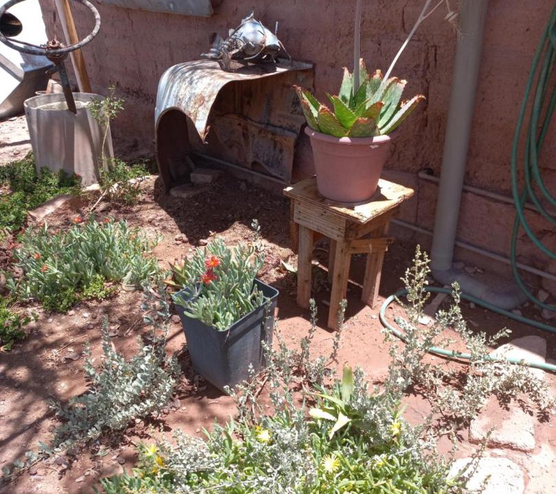 Photo of Others in San Pedro de Atacama