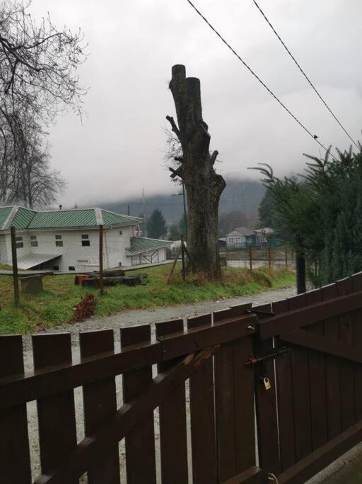 Photo of Others in Panguipulli