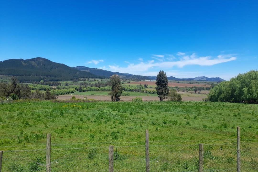 Photo of Outdoor in Bajos de Lircay