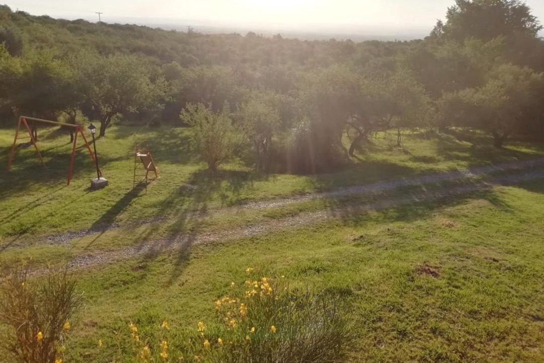 Photo of Others in Merlo