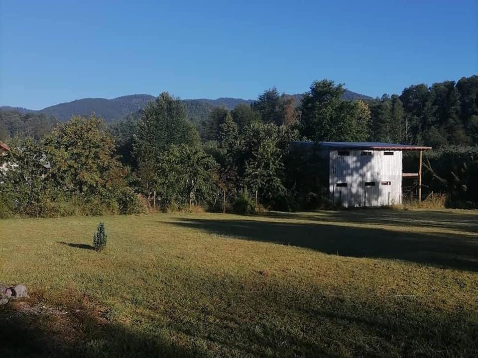 Photo of Others in Caburgua