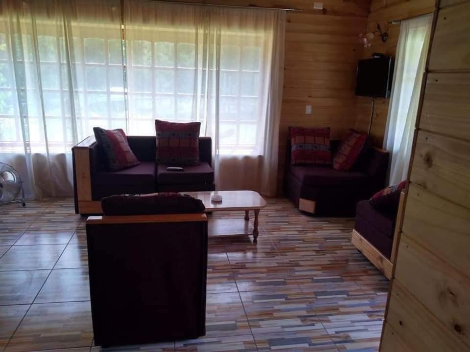 Photo of Livingroom in Caburgua