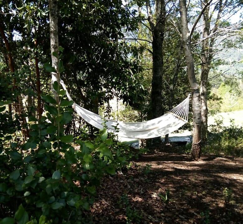Photo of Others in Pucon