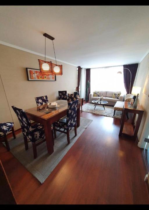 Photo of Livingroom in Downtown Santiago