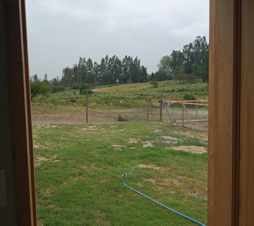 Photo of Others in Melipilla