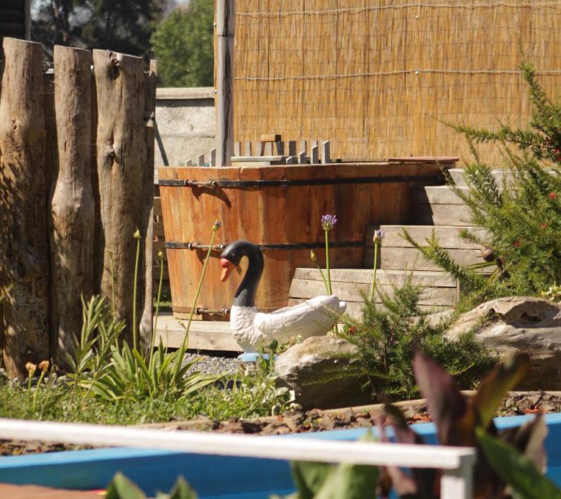 Photo of Outdoor in Hualqui