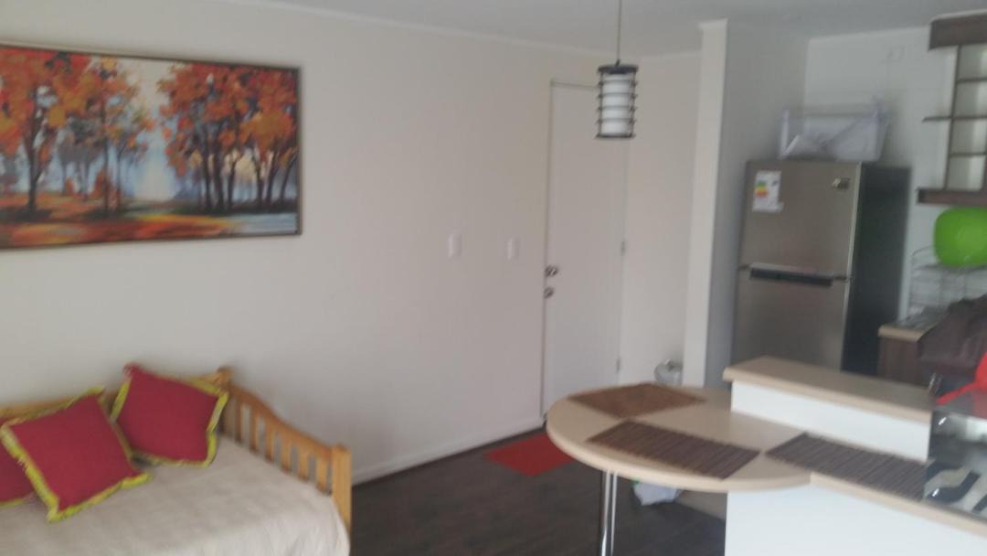 Photo of Livingroom in Puerto Varas