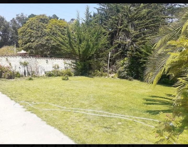 Photo of Others in Isla Negra