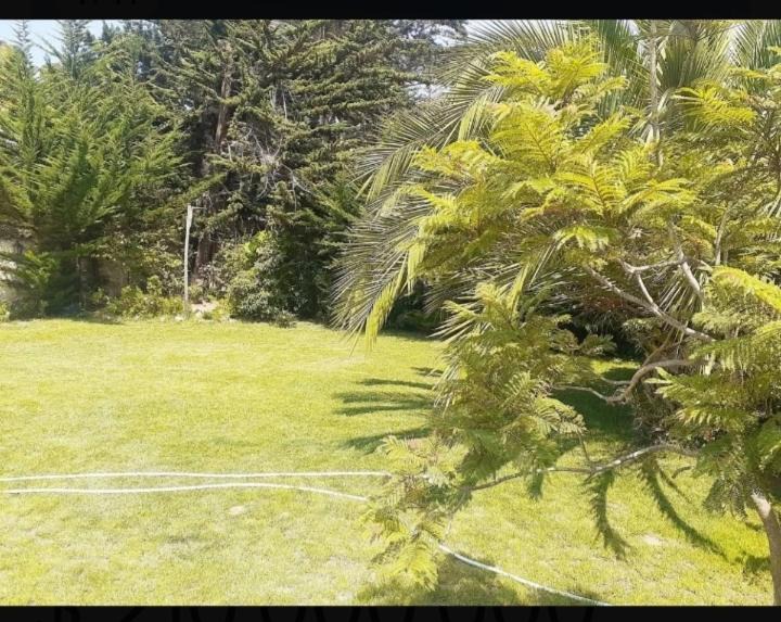 Photo of Others in Isla Negra