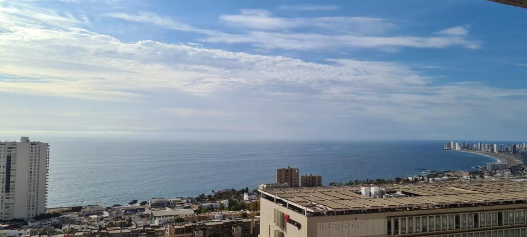Photo of Others in Iquique