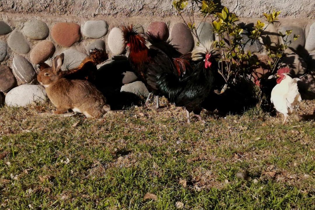 Photo of Others in Las Compuertas