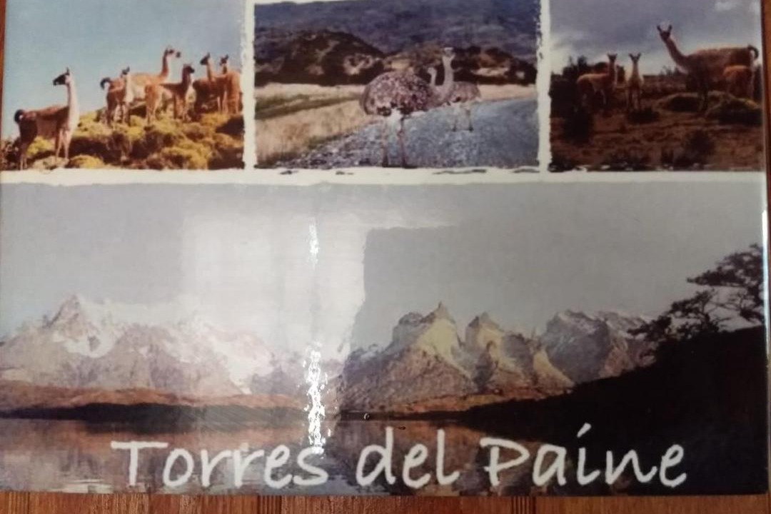 Photo of Others in Puerto Natales