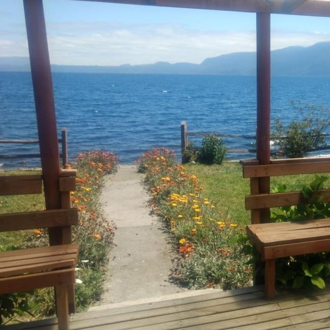 Photo of Others in Pucon