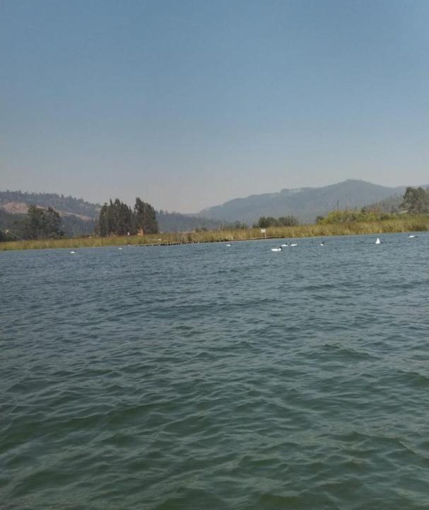 Photo of Outdoor in Vichuquen