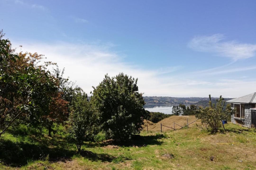 Photo of Outdoor in Castro