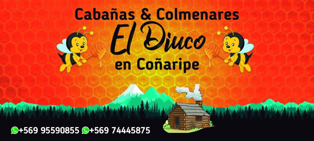 Photo of Others in Conaripe